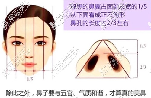 缩小鼻翼手术一般多少钱？鼻翼缩小手术费用大概是多少？