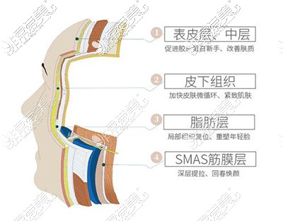 面部皮肤组织照片