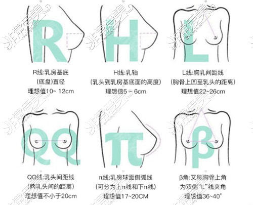 厦门海峡整形胸部美学标准