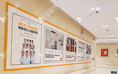 北京圣嘉新整形医生团队荣誉展示