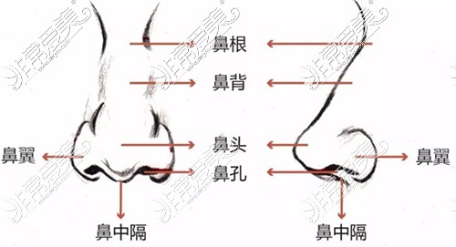 想要去金华做鼻整形，有手术效果好的医院可以推荐吗？