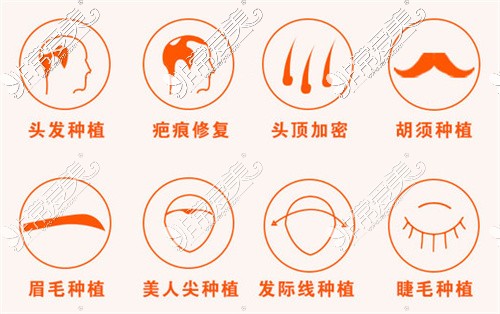 杭州薇琳植发项目