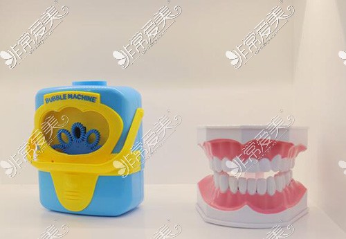 牙齿模型照片展示