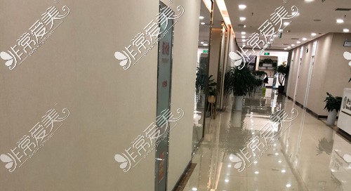 郑州菲林医疗美容走廊