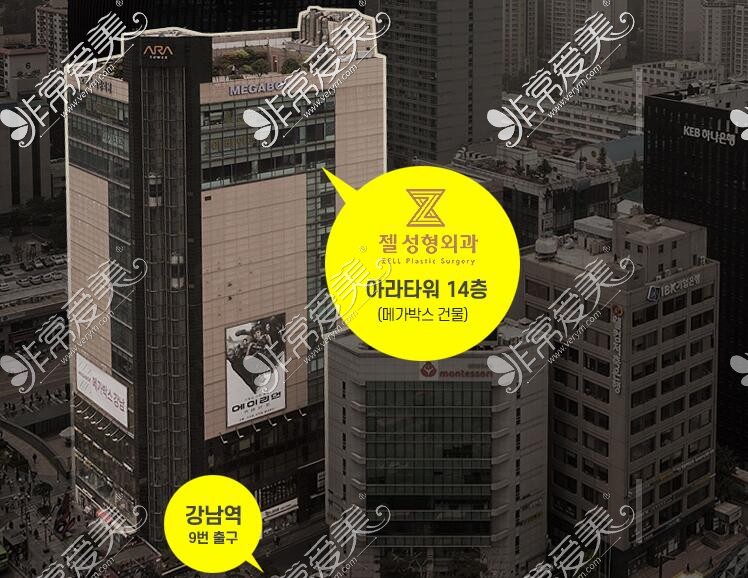 韩国zell整形医院地址图片