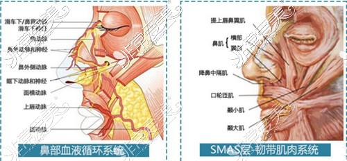 成都东篱整形医院隆鼻