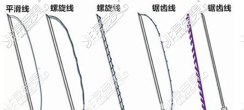 PPDO蛋白線