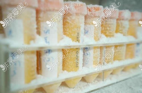 深圳瑞港医生集团脂肪冷冻实拍图