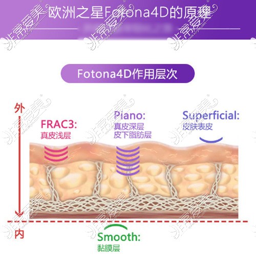 歐洲之星作用原理