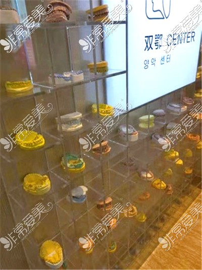 上海首尔丽格整形牙齿模型展示