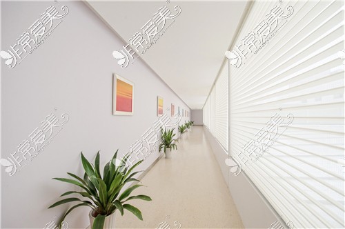 杭州美莱医疗美容医院走廊