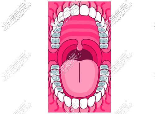 口腔内部牙齿情况