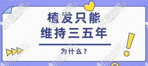 为什么植发只能维持三五年?!看我谣言粉碎机揭秘植发猫腻!