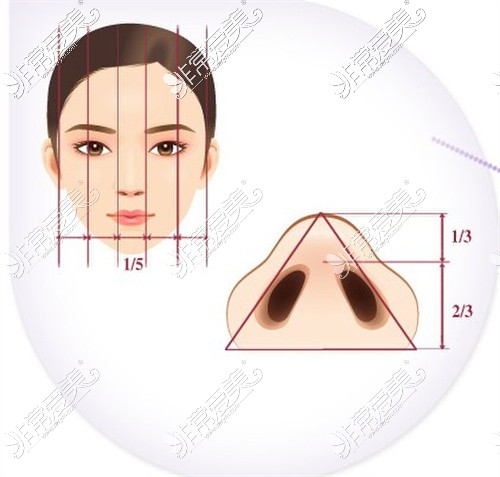 縮鼻翼設(shè)計(jì)圖參考