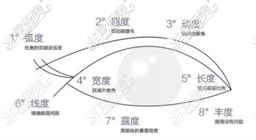 眼部综合整形手术设计