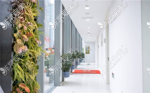 上海英博口腔走廊环境 上海英博口腔走廊环境