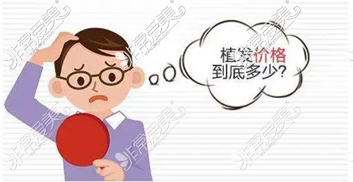 成都植發(fā)大概是多少？