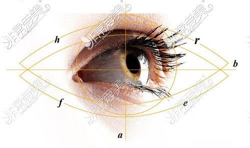 达芬奇美眼术设计示意图