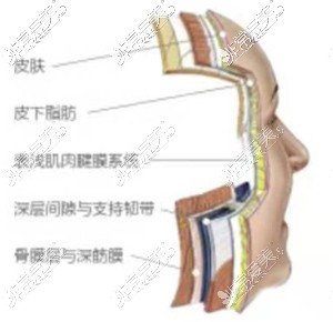 面部拉剥离层次