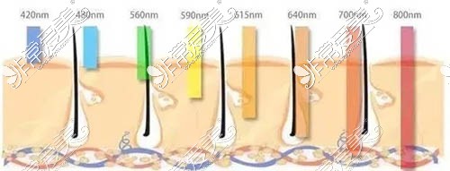 不同波长的光治疗