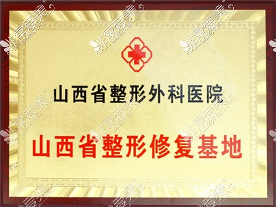 山西省太原整形外科医院荣誉牌