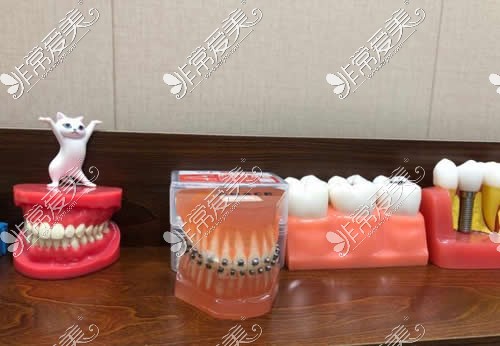深圳世纪河山口腔牙齿模具展示