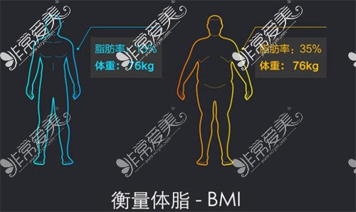 力塑吸脂BMI全息数据化体脂测量