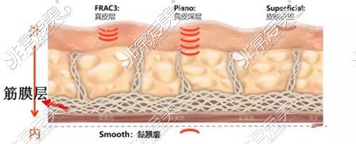 歐洲之星分層抗衰