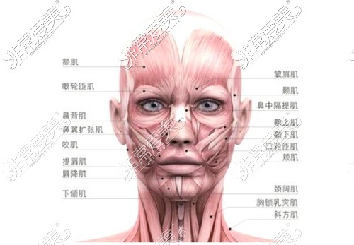 北京高亚东拉皮技术怎么样?分享一下我的面诊感受~