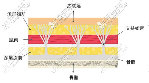 北京拉皮医生黄寅守和柳民熙哪个做提升好?具体区别看这!