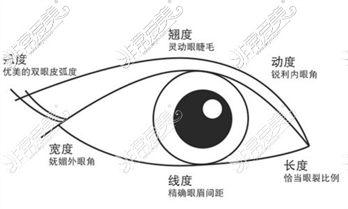 眼综合手术示意图