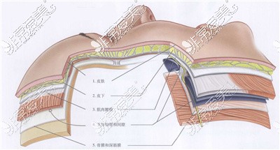 北京面部除皱医生排名前几的有哪些?手术除皱这几位实力不