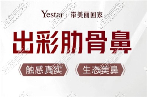 温州yestar艺星出彩肋骨鼻