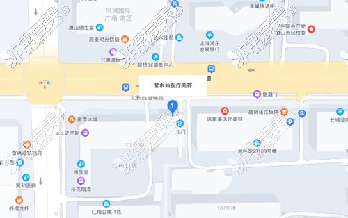 唐山紫水仙整形百度地图