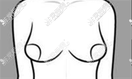 胸部形状动漫图