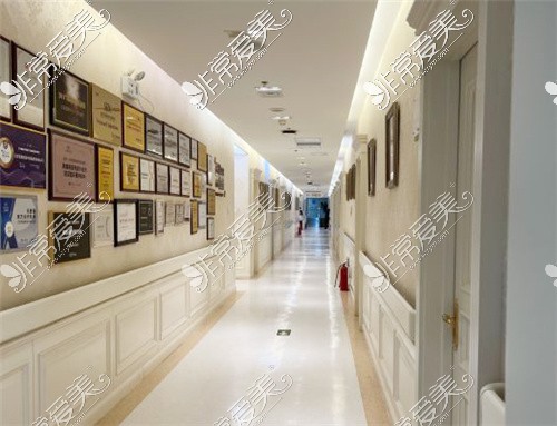 北京圣嘉新医疗美容医院走廊