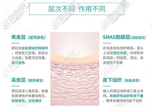 皮膚層次及診療療效作用圖示