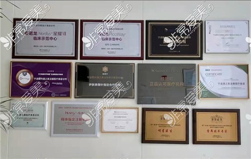 宁波法嫚医疗美容荣誉证书图