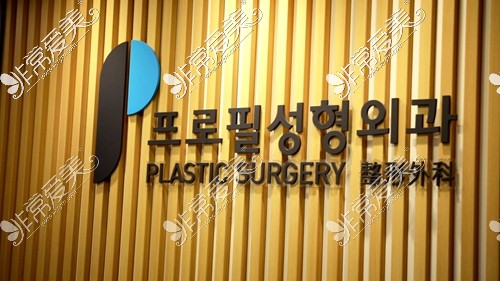 韩国普罗菲耳整形外科logo
