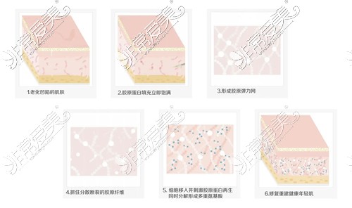 双美胶原蛋白改善皮肤