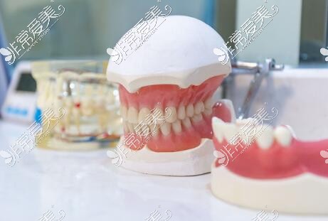 广州邓志恭口腔牙齿模型