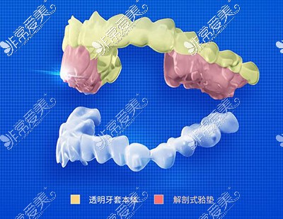 正雅牙套矫正材料展示图