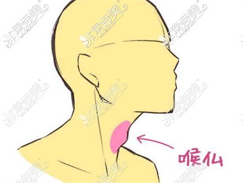喉结在哪个位置图片