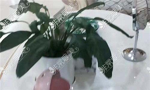 芜湖瑞丽整形医