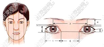 新疆华美整形医院双眼皮设计图