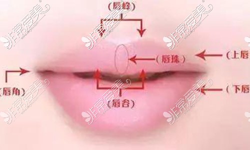 合肥唇部整形10大排行榜公布 唇裂手术这几家能做价格不贵