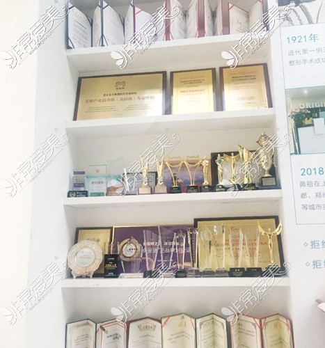 北京东方和谐医疗美容医生证书和奖杯展示
