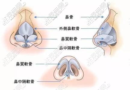 新疆昌吉鼻部整形示意图