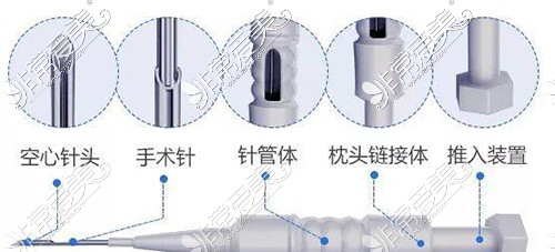 微针植发示意图