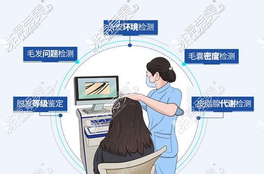 毛发改善诊疗展示图